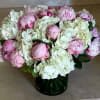 Pink Peonies and White Hydrangeas arranged in a vase