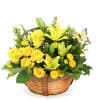 A radiant basket arrangement featuring vibrant yellow lilies, roses, and cheerful button