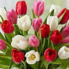 The cheery, Red, white and pink tulips in our beautiful bouquet are