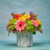 Enjoy This Beautiful Mix with Gerbera Daisies, Roses, Hydrangeas. Can be used