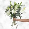Pure Elegance Lily Bouquet

Radiating grace and simplicity, our Pure Elegance Lily Bouquet