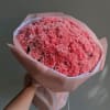 Large bouquet of pink carnations wrapped in pastel paper