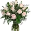 A beautiful light pink "Sweet Akito" rose is soft, sweet, and full