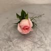A beautiful light pink rose with delicate greenery and white filler. Please