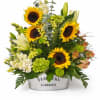 Bring instant sunshine into any space with this vibrant garden-inspired arrangement. Featuring