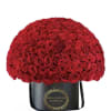 150 long stem red Ecuadorian roses in our luxury round box ready