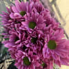 pack of 5 stems color pink Rhianna. wholesale packs do not qualify