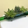 12/1 inch green glass bottle vase with 3 succulents