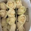 25 long stemmed Ecuadorian roses in the color vendela white