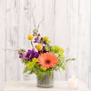 Bright and bold~ a vibrant arrangement including a gerbera daisy, fragrant stock