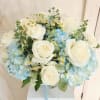 Several white roses in a square vase either blue hydrangea, chamomile or
