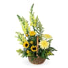 A bright and cheerful basket featuring vibrant sunflowers, yellow chrysanthemums, and fresh