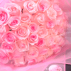 50 Pink Roses Luxury Bouquet

Soft, elegant, and full of charm, this stunning