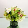 This fresh green arrangement comes with white Tulips, pale green Roses, green