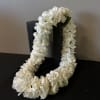 Lookinig for a unique Lei? Order one of our in house Carnation