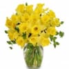 These beautiful yellow daffodils come and go in the blink of an