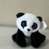 An adorable black- and - white panda with big glittery blue eyes.