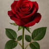 A classic rose symbolizing love and passion. Simple, elegant, and unforgettable. Colors