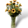 12 beautiful yellow sunflowers arranged in a clear glasses with assorted greens