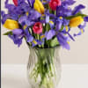Beautiful design of (8)tulips and (10)irises in a ginger vase.