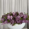 Eight dozen purple lilac arranged in a concrete colored container arrangement