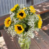 - 10 Sunflowers
- Baby Breath
- 11 inches Garden Vase