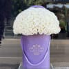 50 white roses in our signature velvet lavender box   