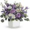 
Loveliest lavender! Make any day feel extra special with the soft purple