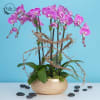 Color of orchids may vary based on availability. If you have a