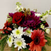 A Dramatic Statement from Your San Francisco Florist
Celebrate with Santos Coming, an