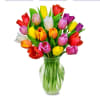 Deluxed brilliant colorful tulips