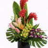 Tropical flower mixt, birds, orchids, lilies, pincushion, greenery. Arrangement can be for