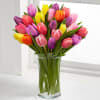 Standard $60.00 20 Tulips, Premium (shown) $75.00 30 Tulips
Picked fresh from the
