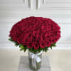 100 Long stem Premium Ecuadorian Roses 
Arranged in a Vase 
Stands approx