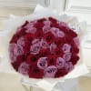 MFS Signature Hand-tied Bouquet 
50 Roses 

*This bouquet does not include a