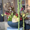 In a beautiful extra large ceramic vessel, she resides ~
Cymbidium orchids, Anthuriums