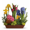 Roses and tulips and hyacinth - oh, my! All your spring favorites