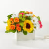 Bright mixed bouquet in a white rectangular box with sunflowers, roses, and daisies