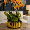 This elegant Triple Peach Phalaenopsis Cascade orchid arrangement creates a striking vertical