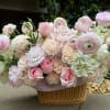 A soft and romantic basket arrangement, Sweet Serenade features a harmonious mix