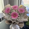 Fresh pink gerbera daisies with baby&rsquo;s breath in a soft neutral wrap.