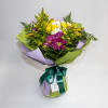 Assorted Daisy, Cushion Pom Bouquet!

*Vase is not included
*Wrapping may different as picture