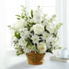 Let this exquisite composition of beautiful white blossoms deliver your sympathy and