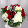 16 popping red roses in white bushels of white hydrangeas arranged with