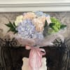 12 Stems hydrangeas combined to tell the  person  that Spring