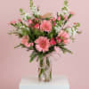 Soft, cheerful, and full of charm, Blushed features a delightful mix of