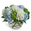 Blue and white hydrangea arrangement in a round glass vase