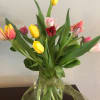 Gorgeous assorted tulips, the perfect springtime gift!