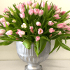 Pink tulips arranged in a silver vase