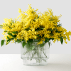 Send a beautiful lush Mimosa arrangement to the woman in your life